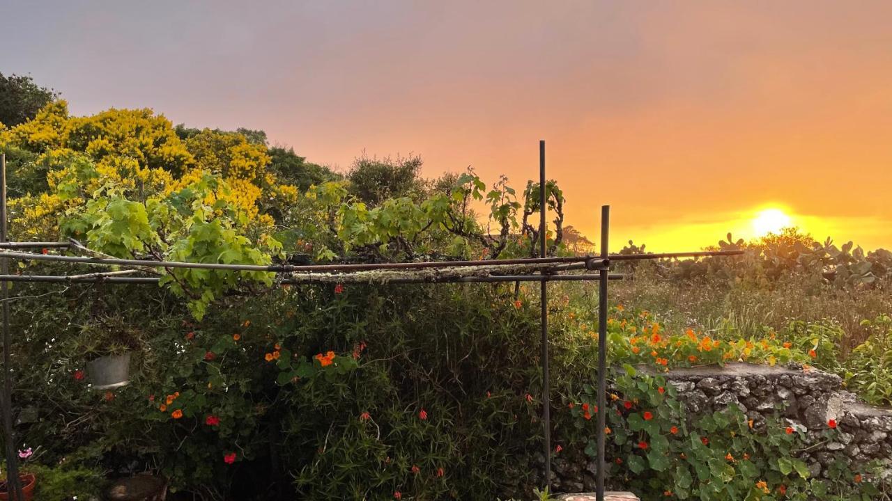 Casa Rural Casa & Monte Erese Εξωτερικό φωτογραφία